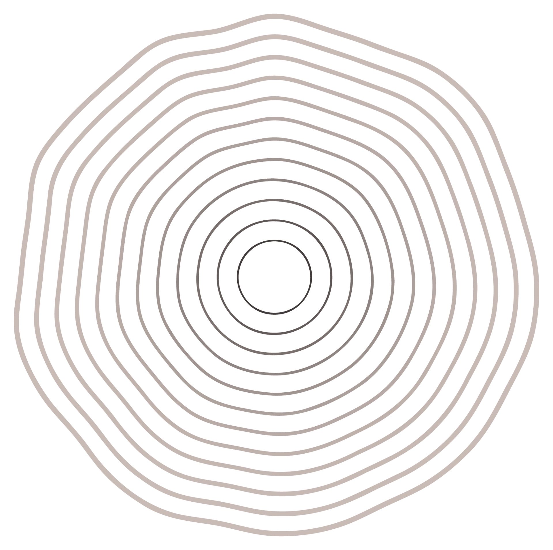 A series of irregular concentric rings, resembling tree growth rings or a topographic map, drawn with thin lines on a white background.